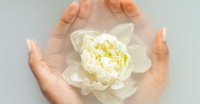 Advanced Clinical Anti-Aging Skin Care by KleVVA Skin Clinic