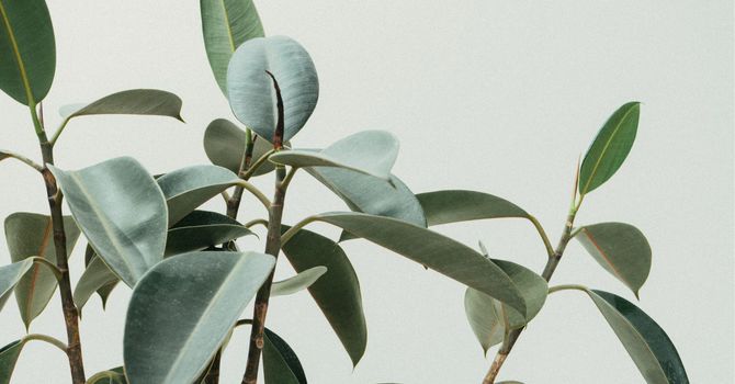 Hydrafacial and Hydrabody Treatment by KleVVA Skin Clinic